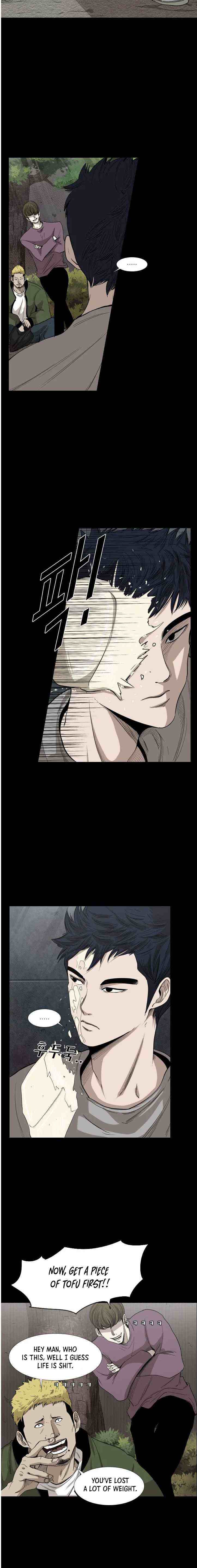 Read Shark Manga Online