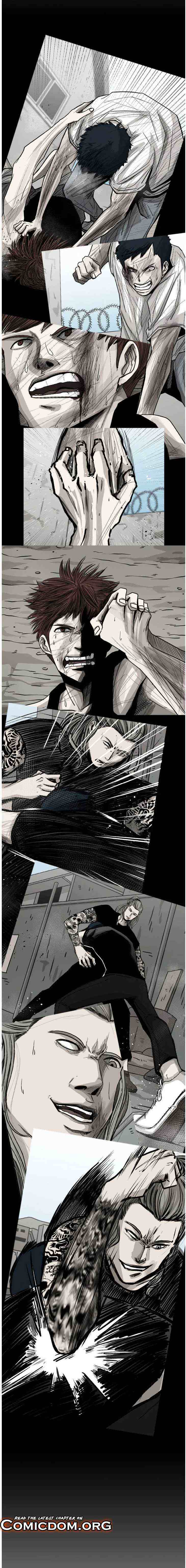 Read Shark Manga Online