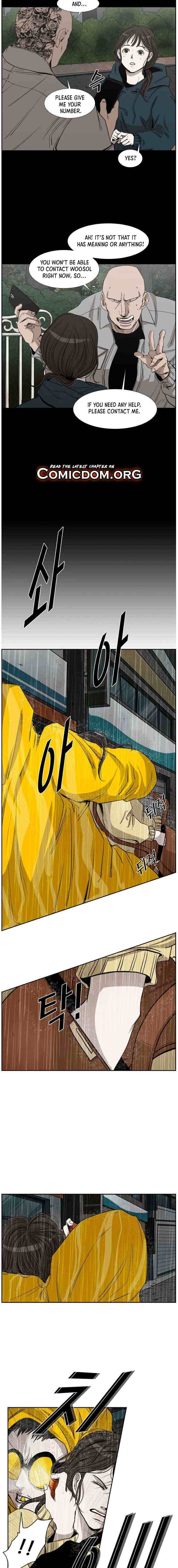 Read Shark Manga Online