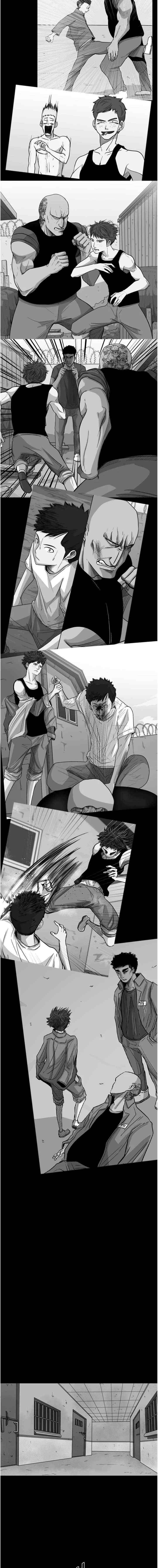 Read Shark Manga Online