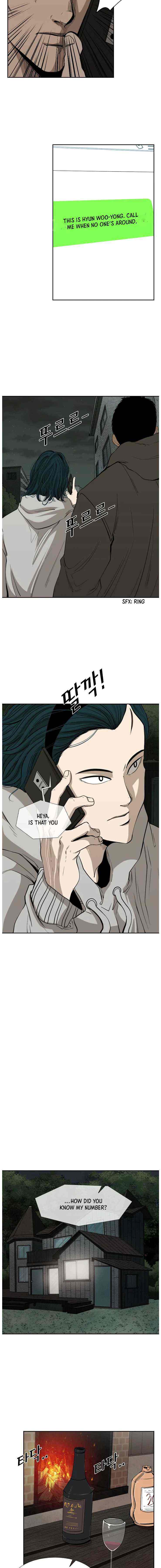 Read Shark Manga Online