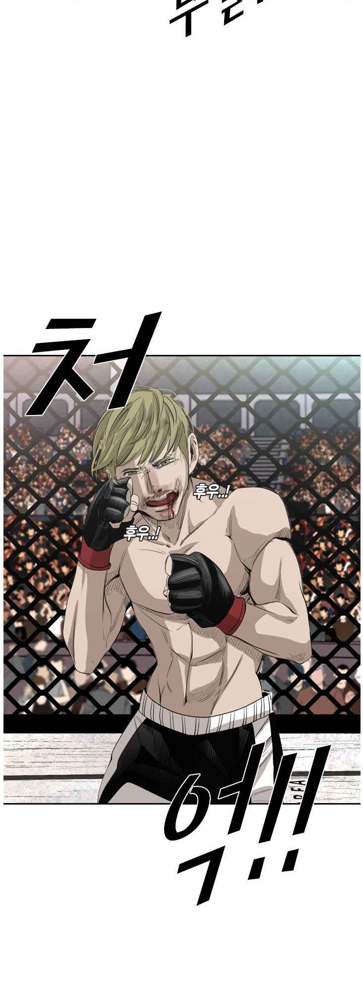 Read Shark Manga Online