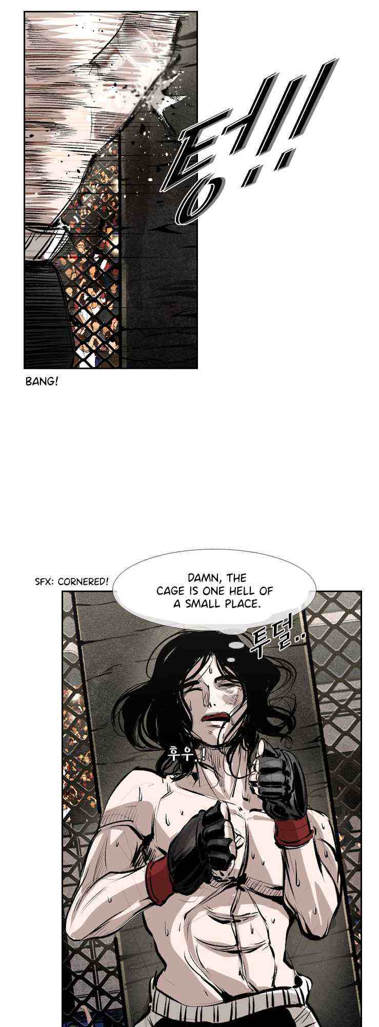 Read Shark Manga Online