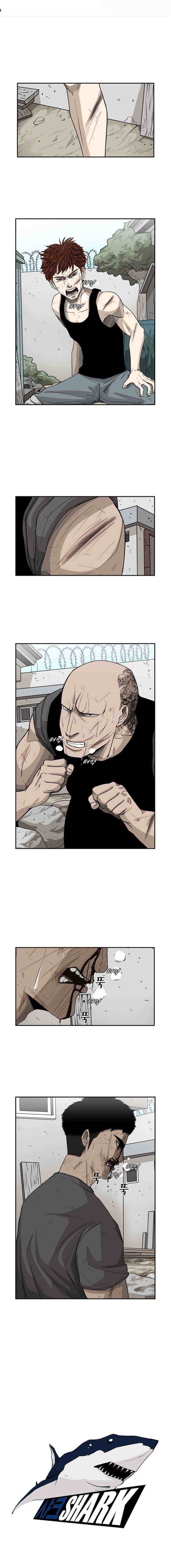 Read Shark Manga Online