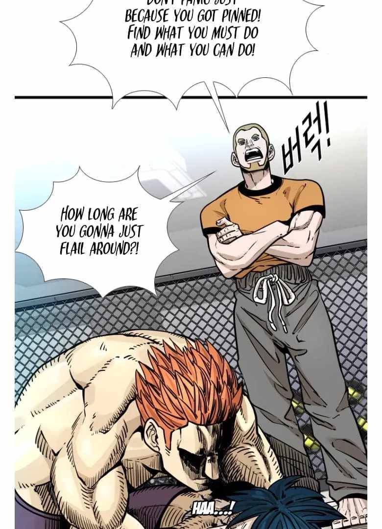 Read Shark Manga Online