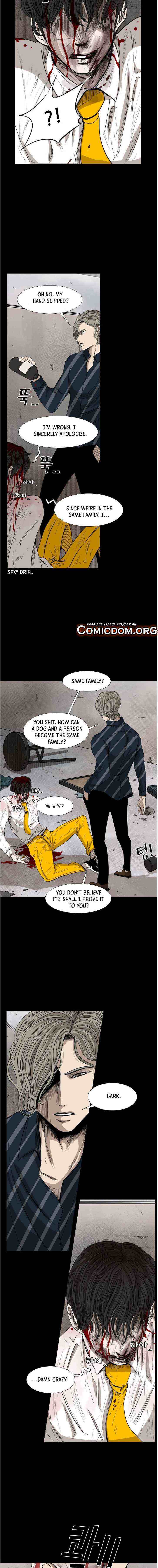 Read Shark Manga Online