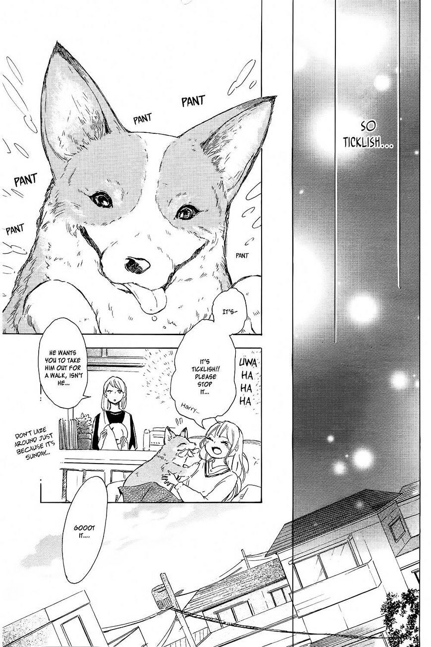 Read Shinomiya-kun no Sekai ga Owatte mo Manga Online