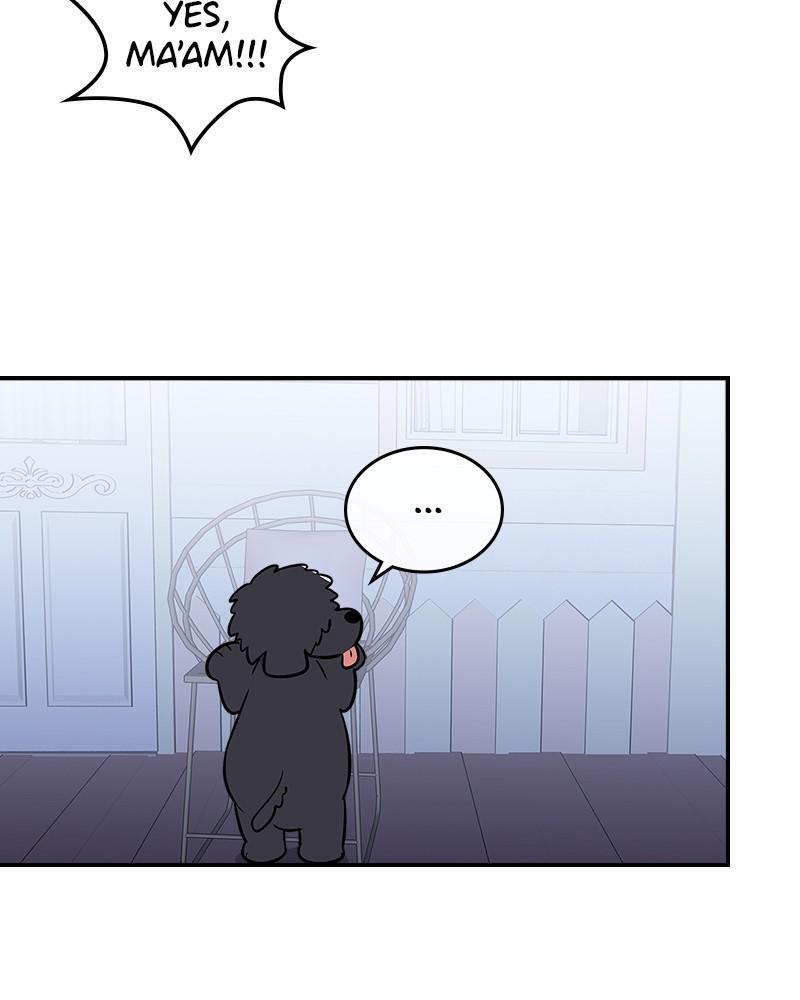 Read So You're Raising a Warrior Manga Online