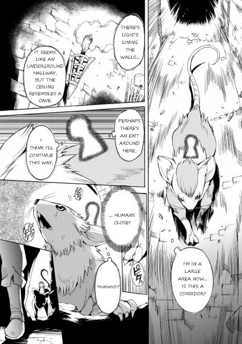 Read Spirit Migration Manga Online