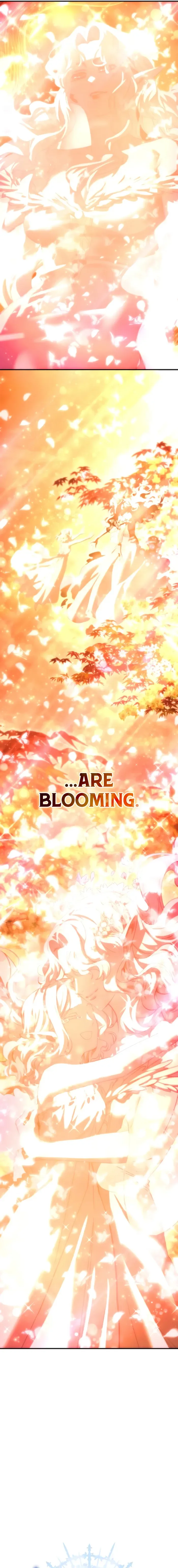 Read Star Embracing Swordmaster Manga Online