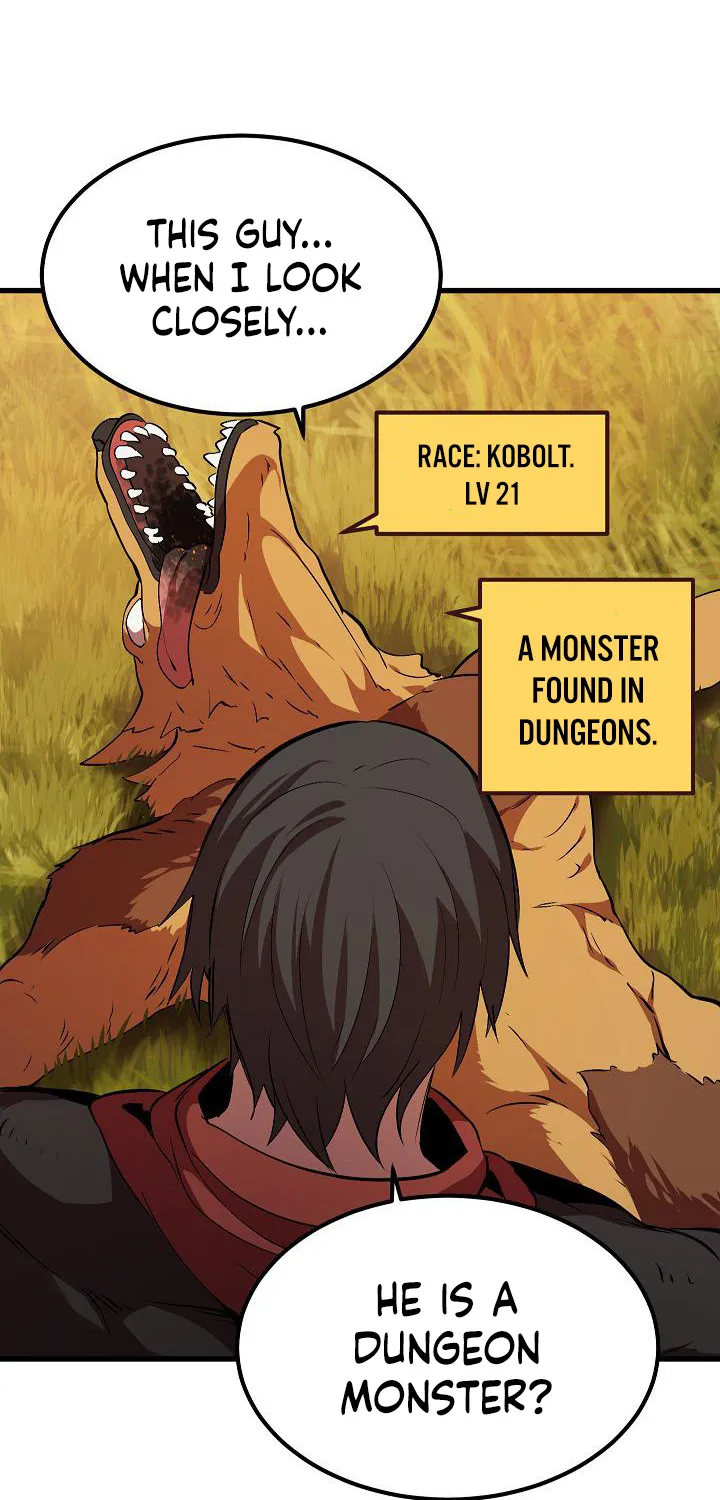 Read Survival Story Of A Sword King In A Fantasy World Manga Online