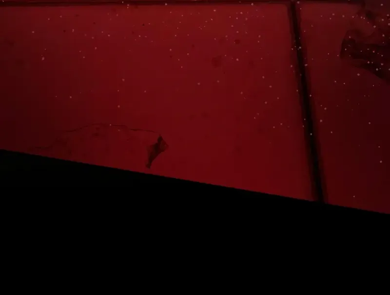 Read Surviving The Apocalypse Manga Online