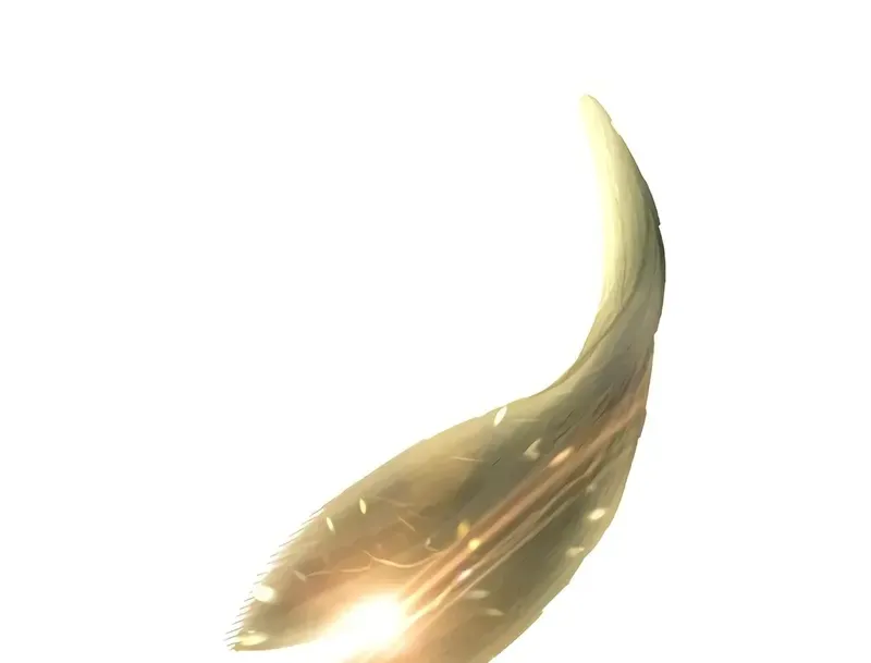 Read Surviving The Apocalypse Manga Online