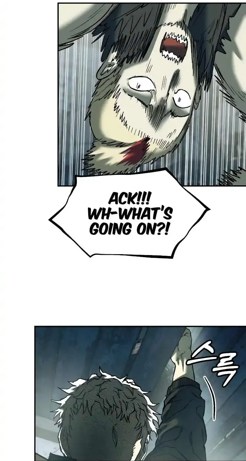 Read Surviving The Apocalypse Manga Online