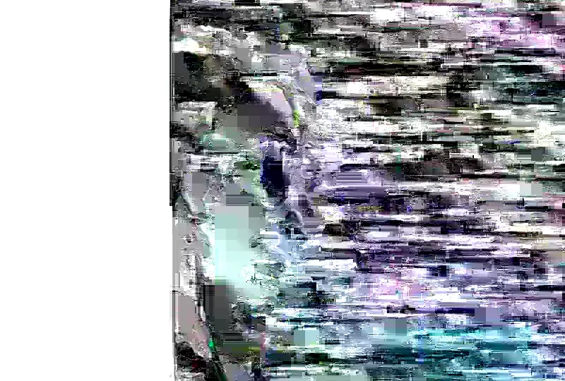 Read Surviving The Apocalypse Manga Online