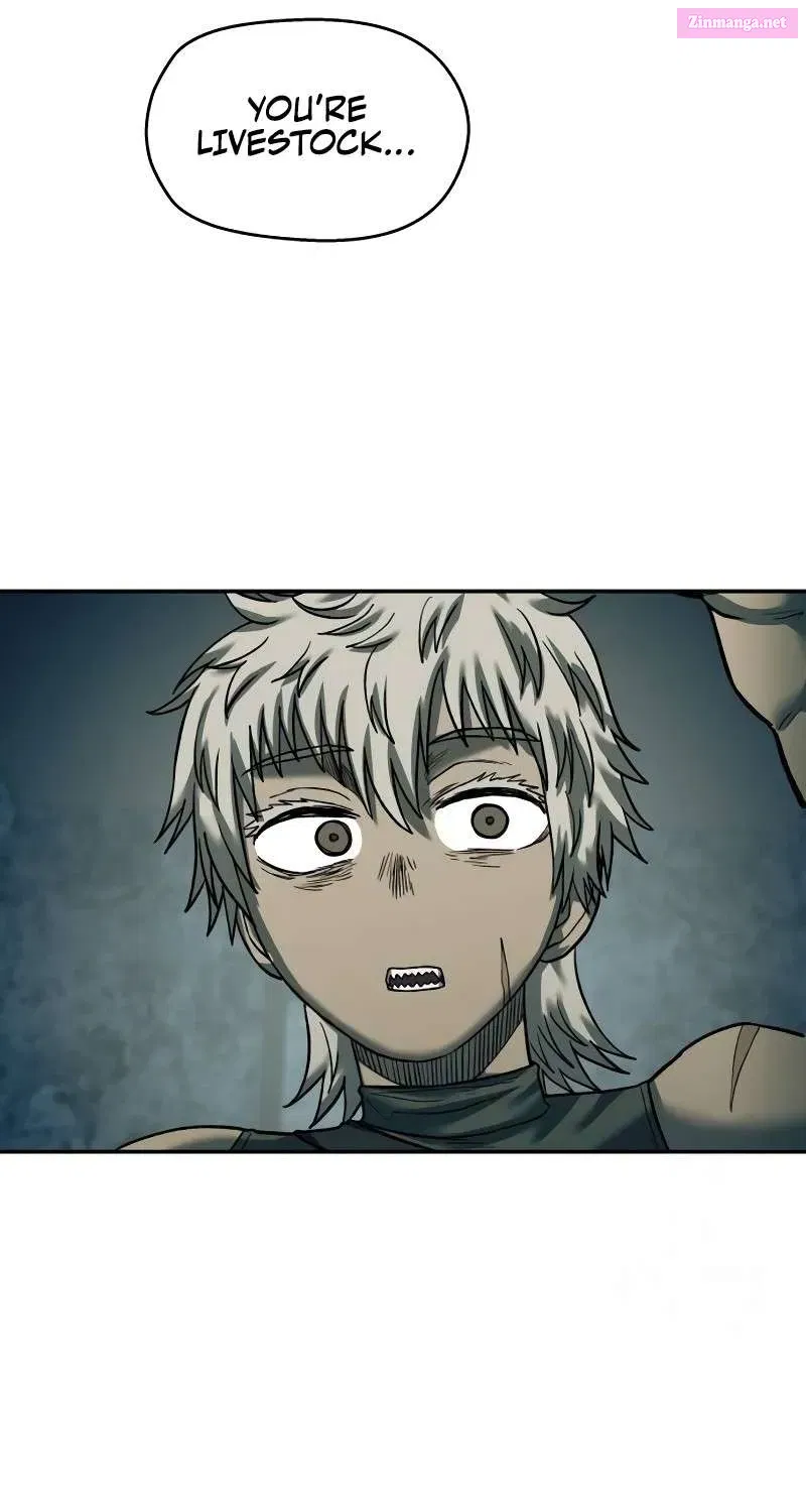 Read Surviving The Apocalypse Manga Online