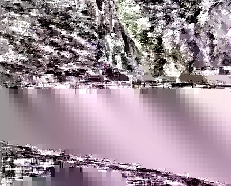 Read Surviving The Apocalypse Manga Online