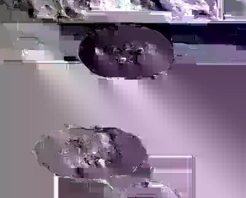 Read Surviving The Apocalypse Manga Online