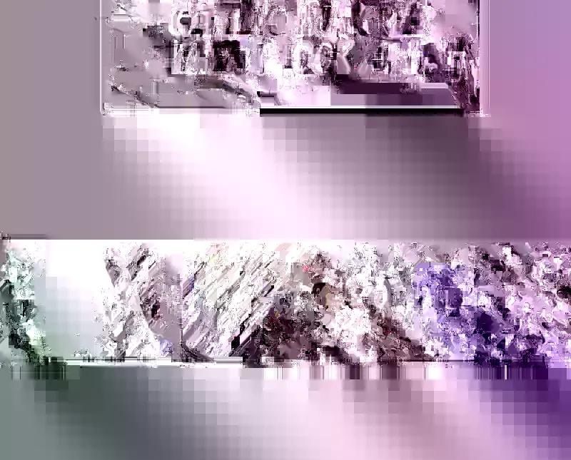 Read Surviving The Apocalypse Manga Online