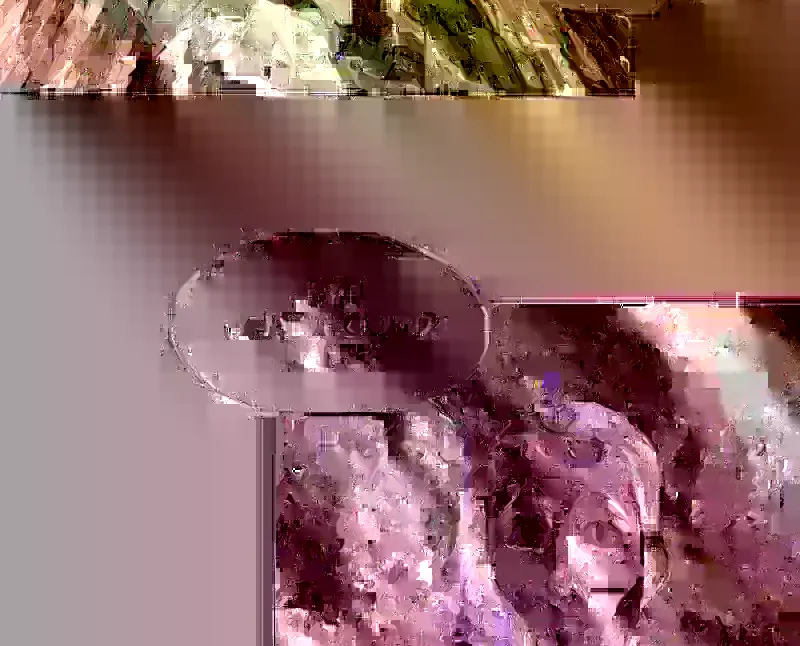 Read Surviving The Apocalypse Manga Online