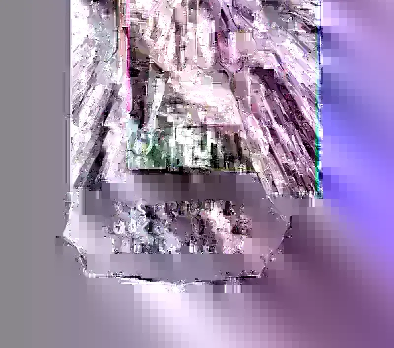 Read Surviving The Apocalypse Manga Online