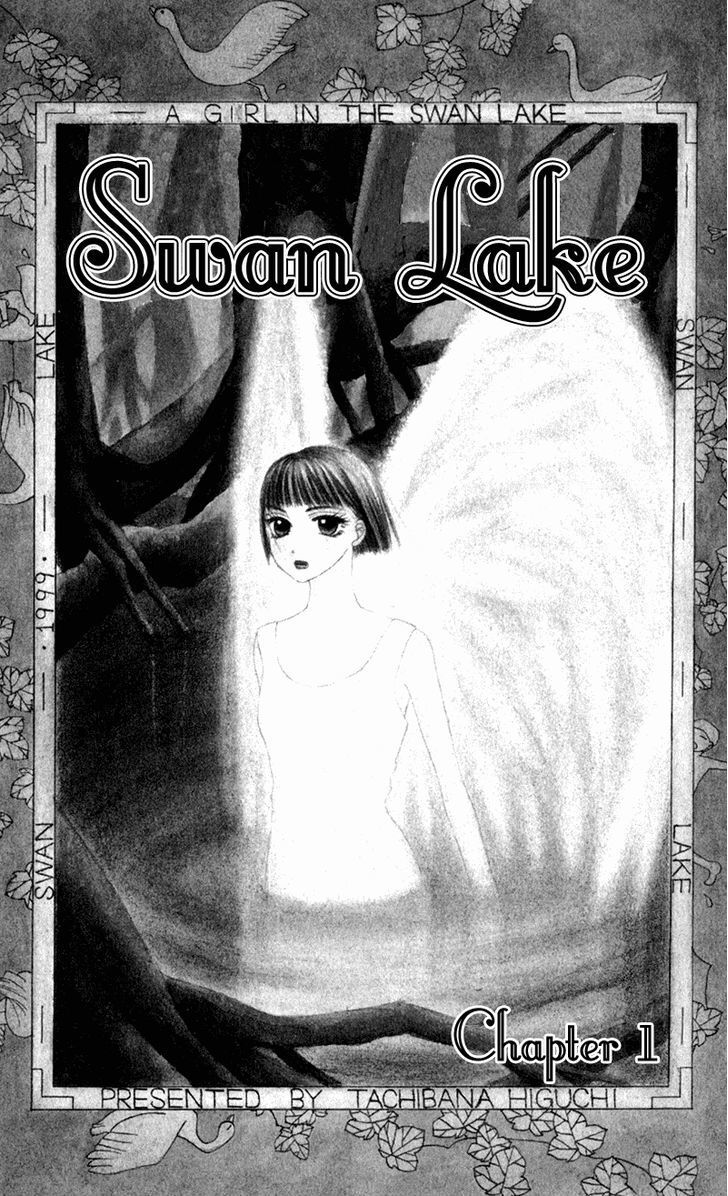 Read Swan Lake Manga Online