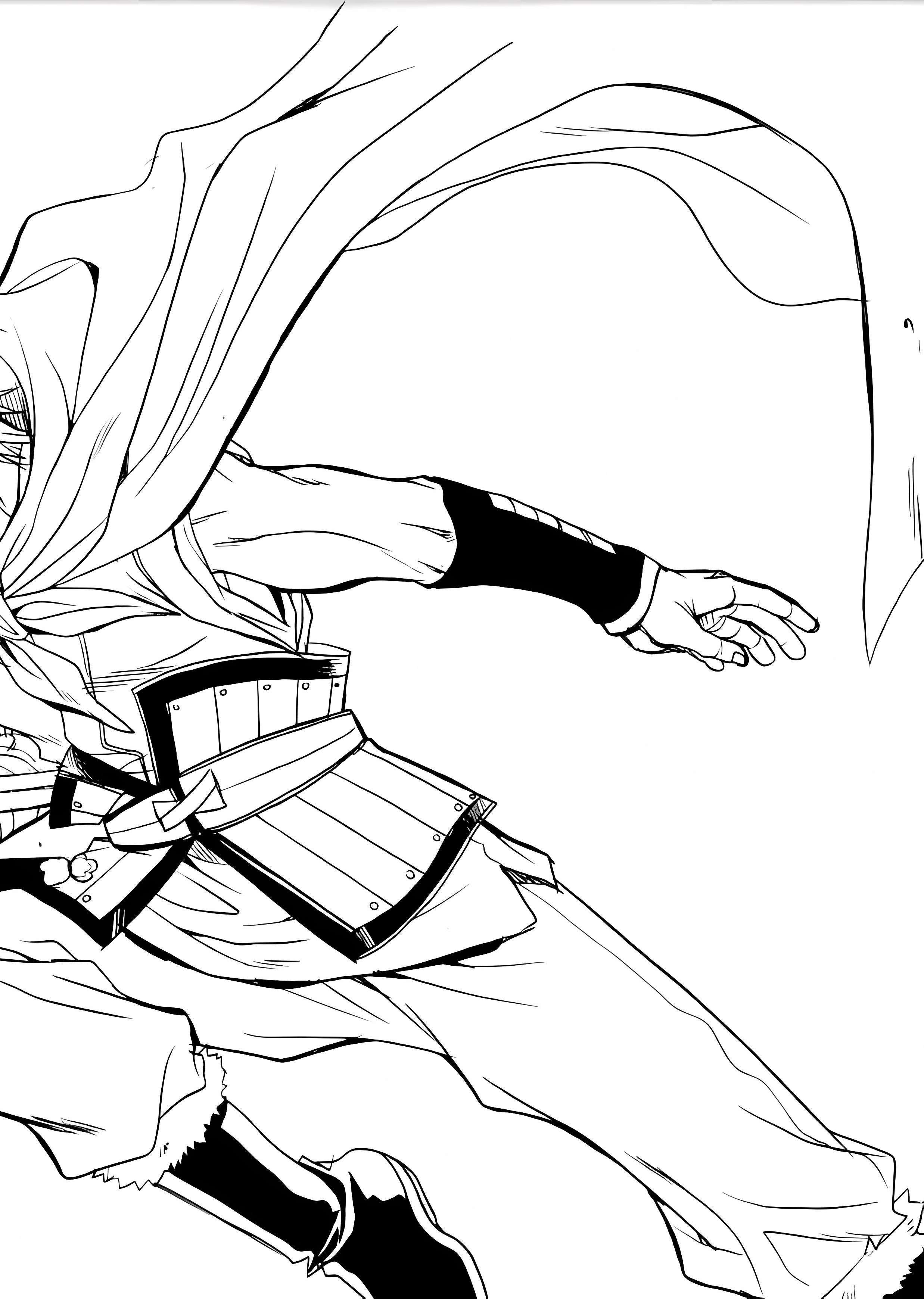 Read Sword of the Stranger Manga Online