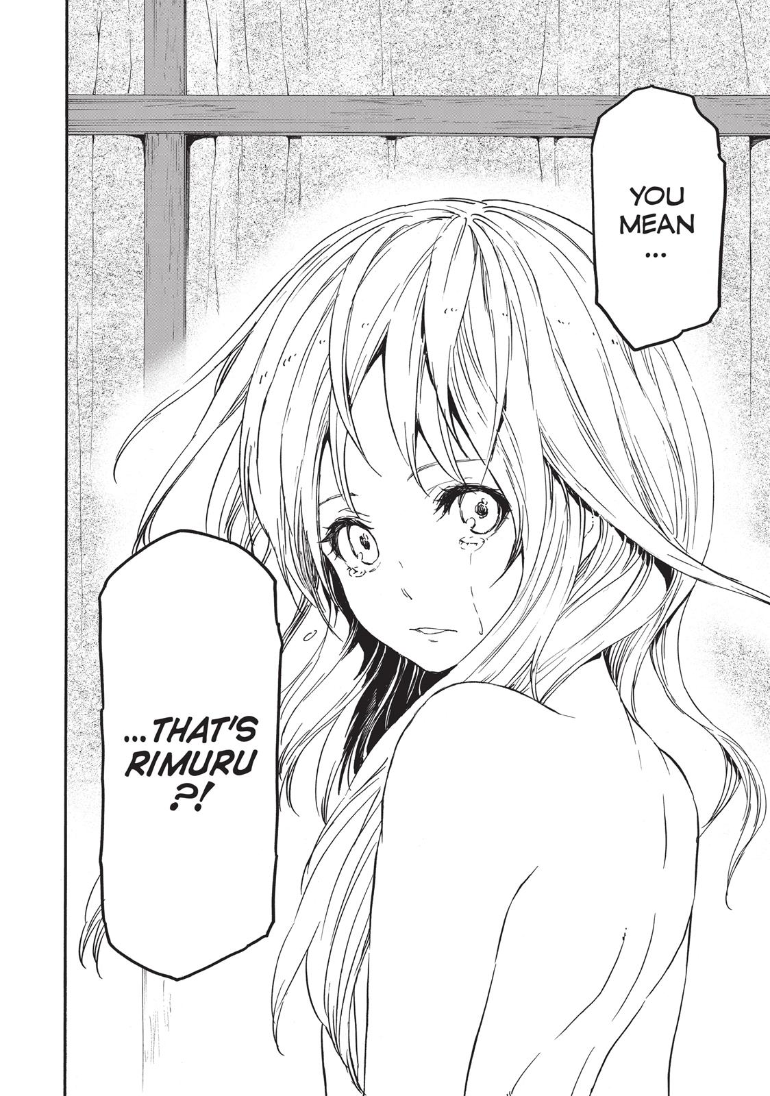 Read That Time I Got Reincarnated as a Slime Manga Online
