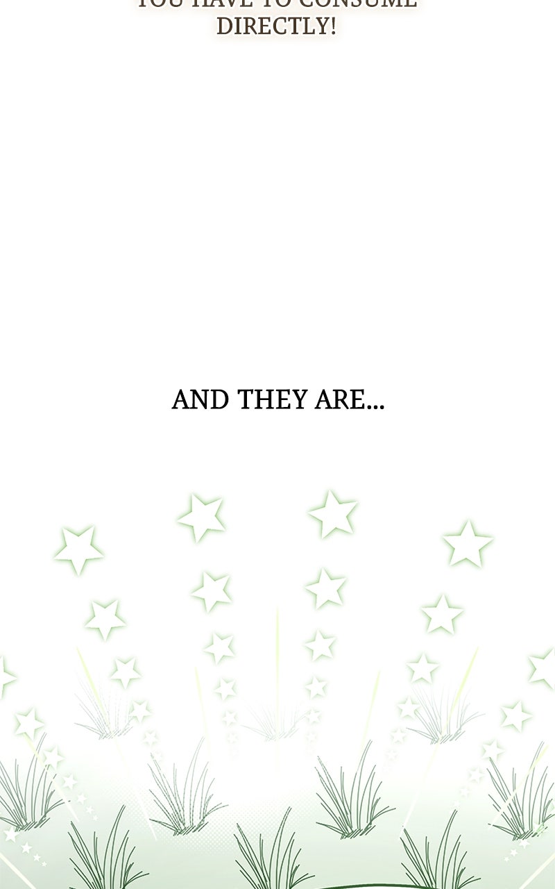 Read The Apothecary Prince Manga Online