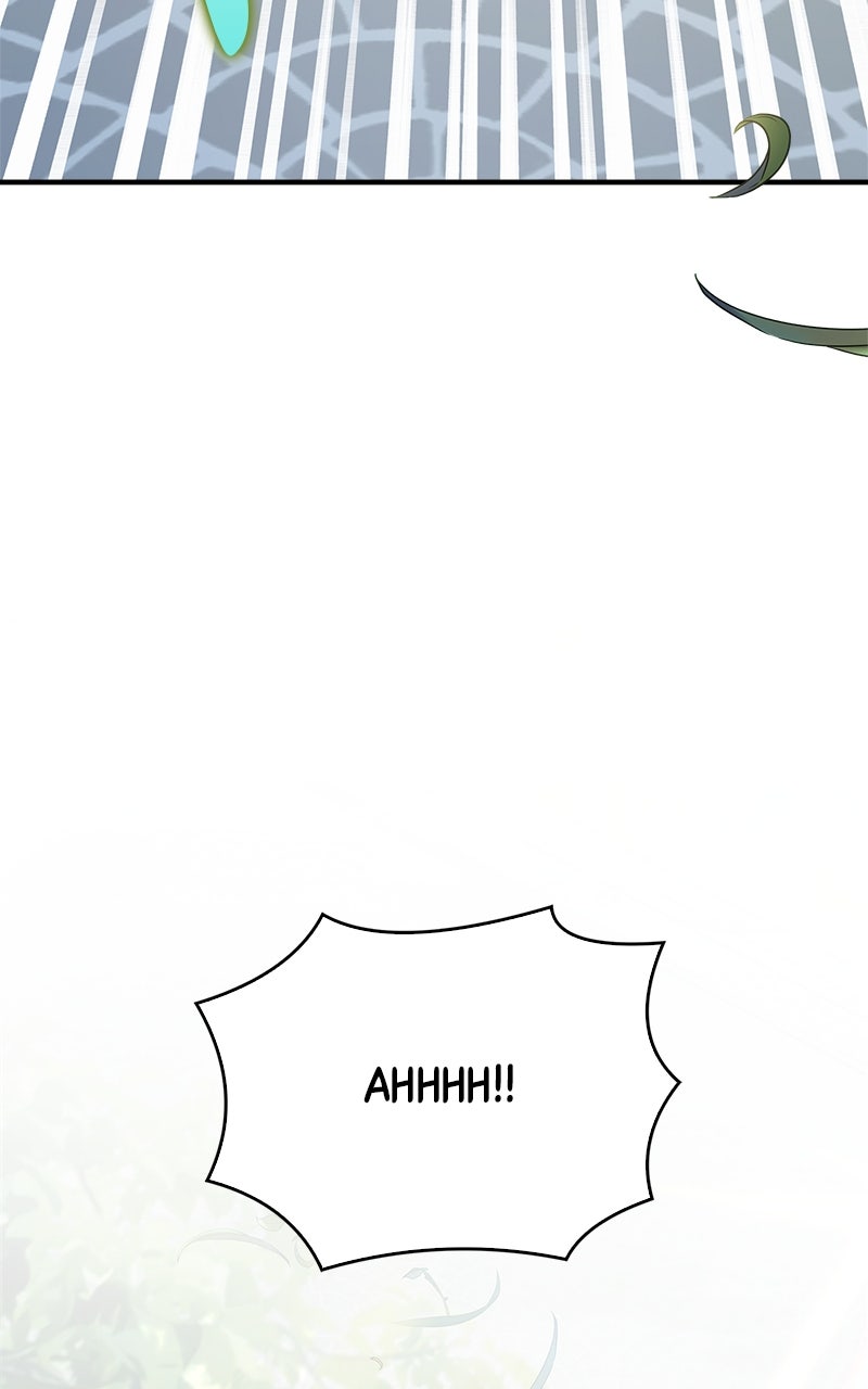 Read The Apothecary Prince Manga Online