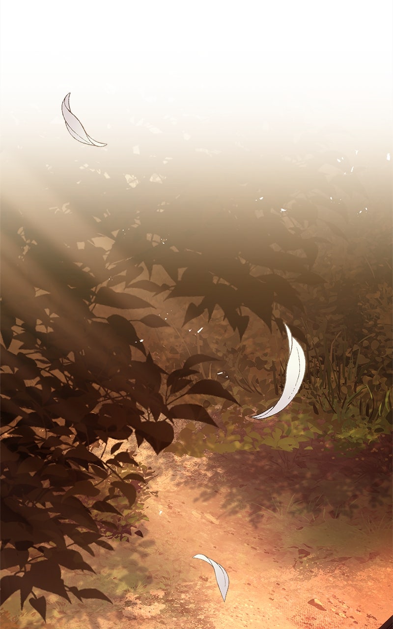 Read The Apothecary Prince Manga Online