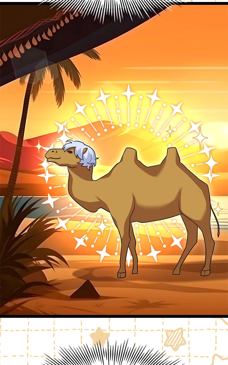 Read The Apothecary Prince Manga Online