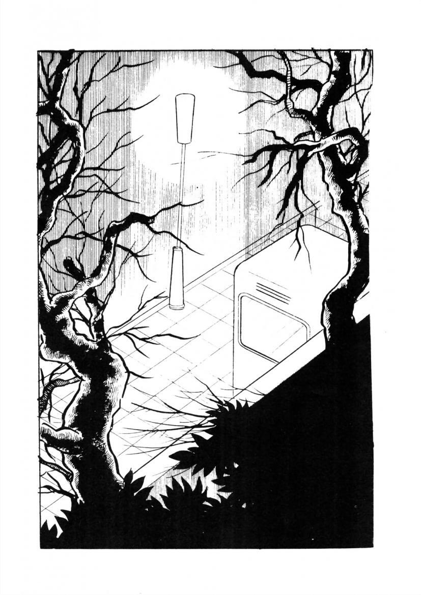 Read The Cat-Eyed Doll Manga Online