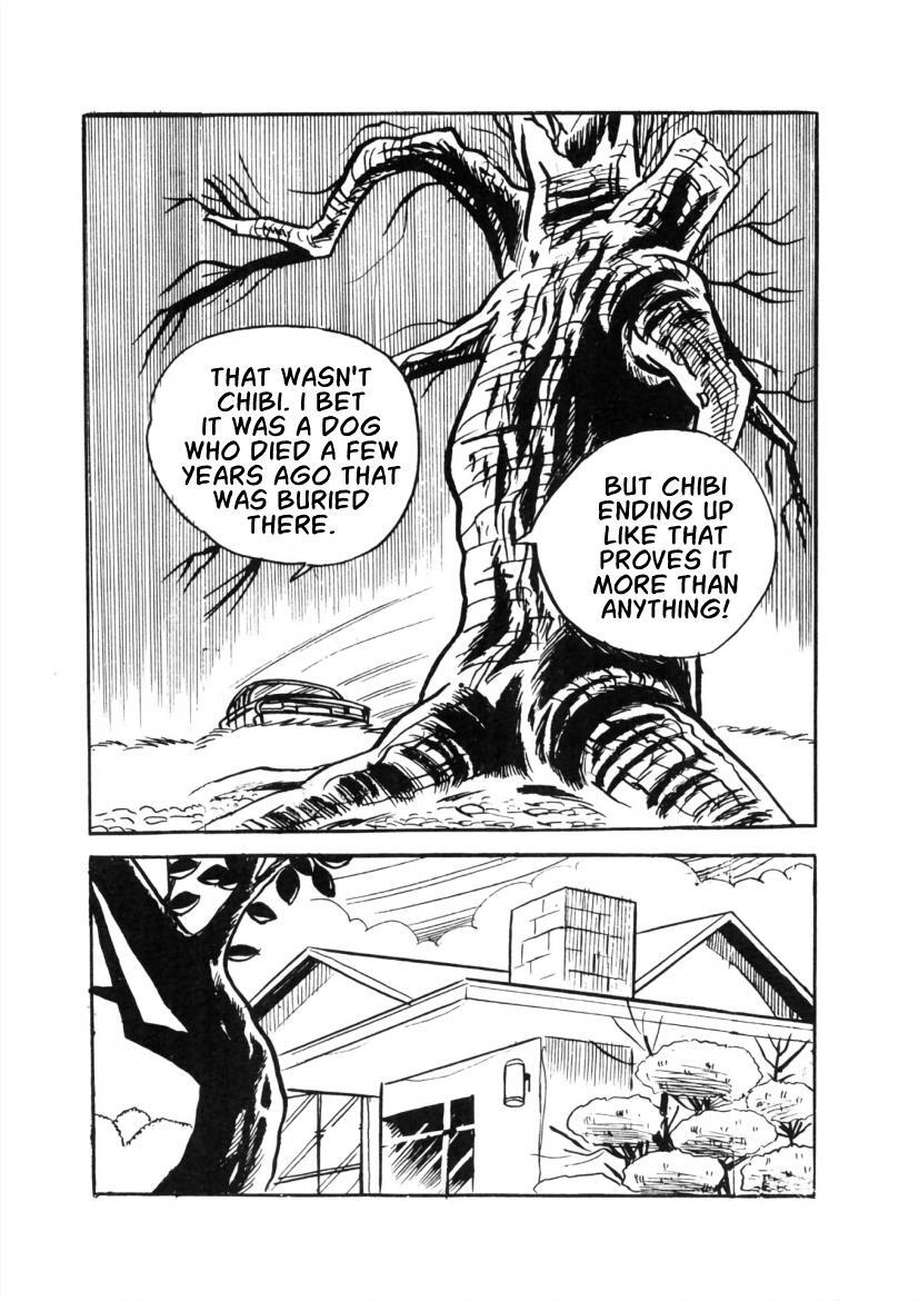 Read The Cat-Eyed Doll Manga Online