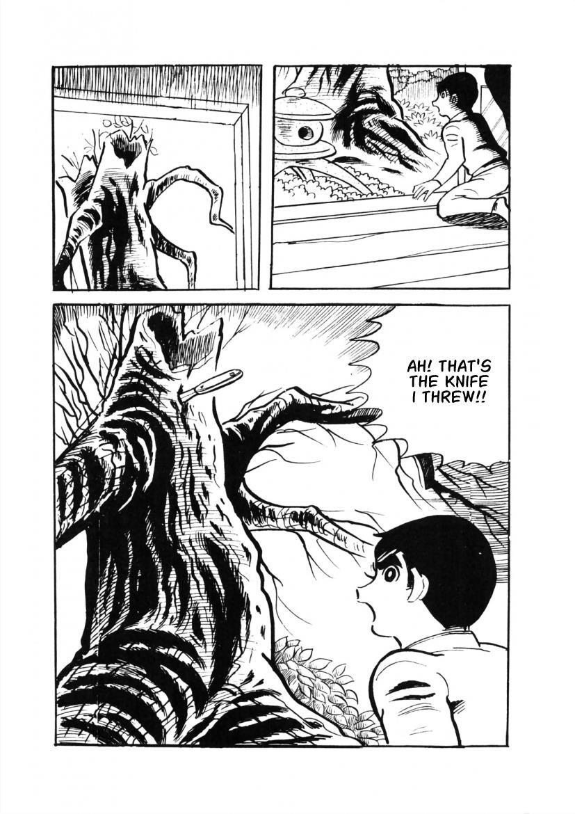 Read The Cat-Eyed Doll Manga Online