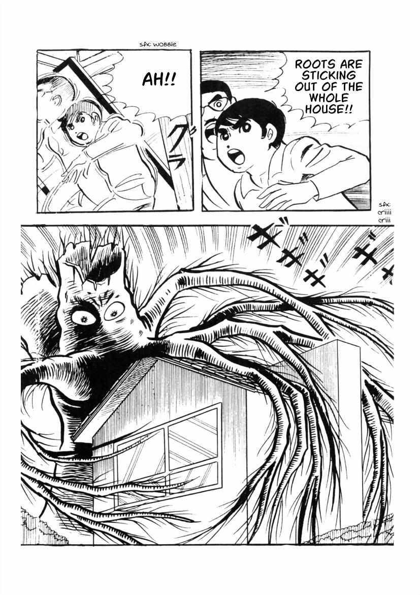 Read The Cat-Eyed Doll Manga Online