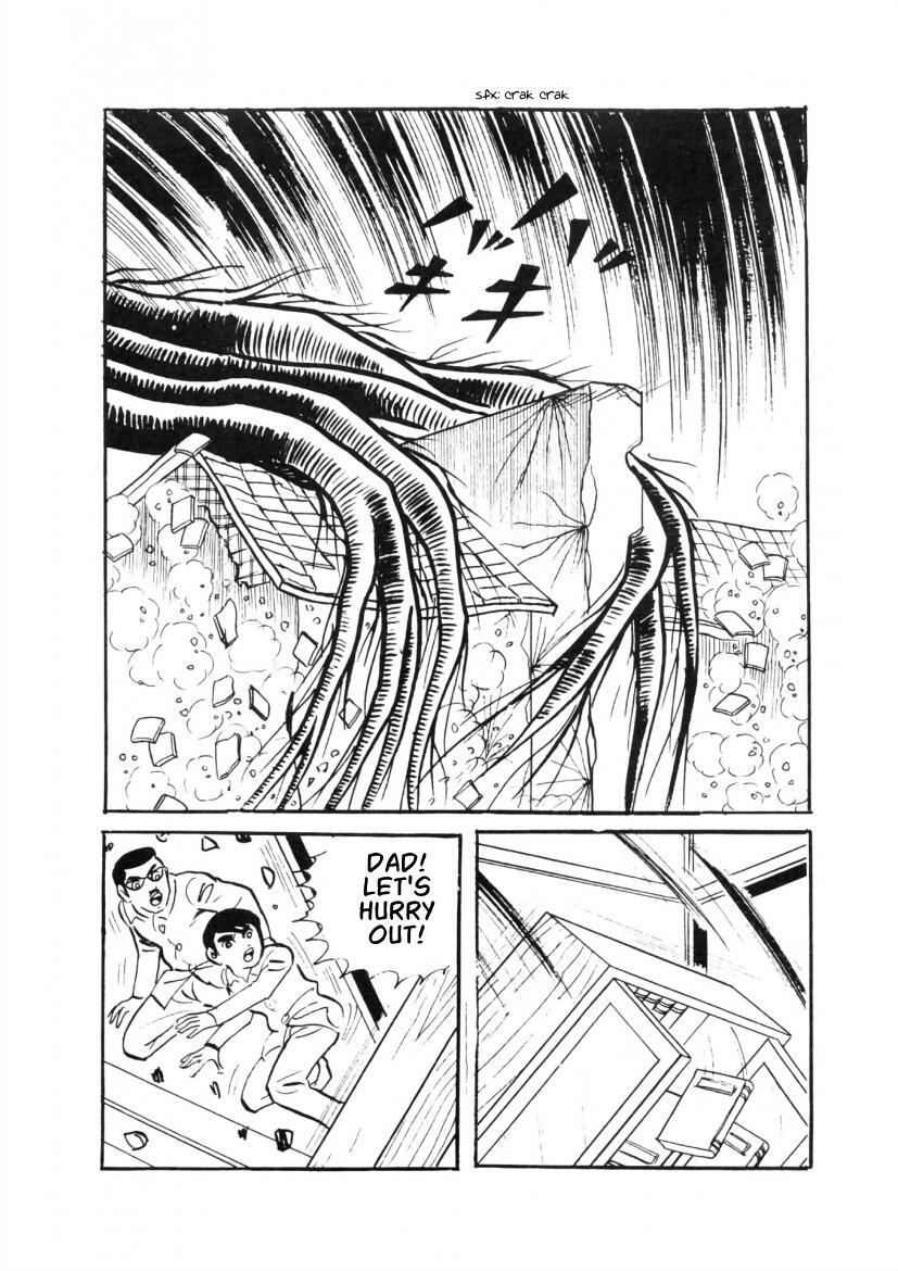 Read The Cat-Eyed Doll Manga Online