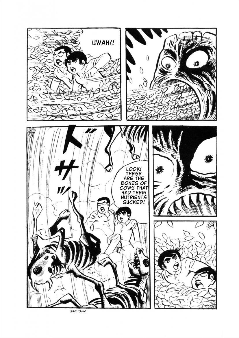 Read The Cat-Eyed Doll Manga Online
