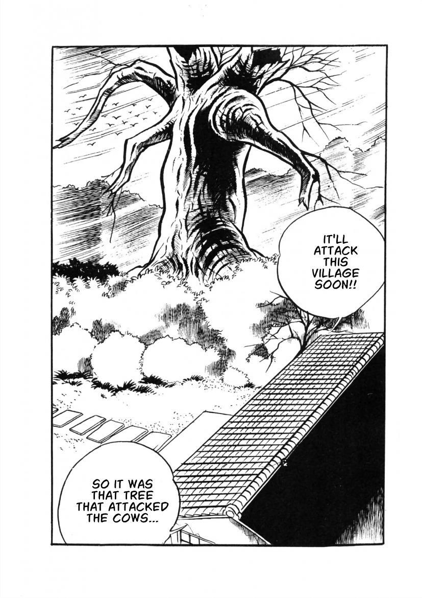 Read The Cat-Eyed Doll Manga Online