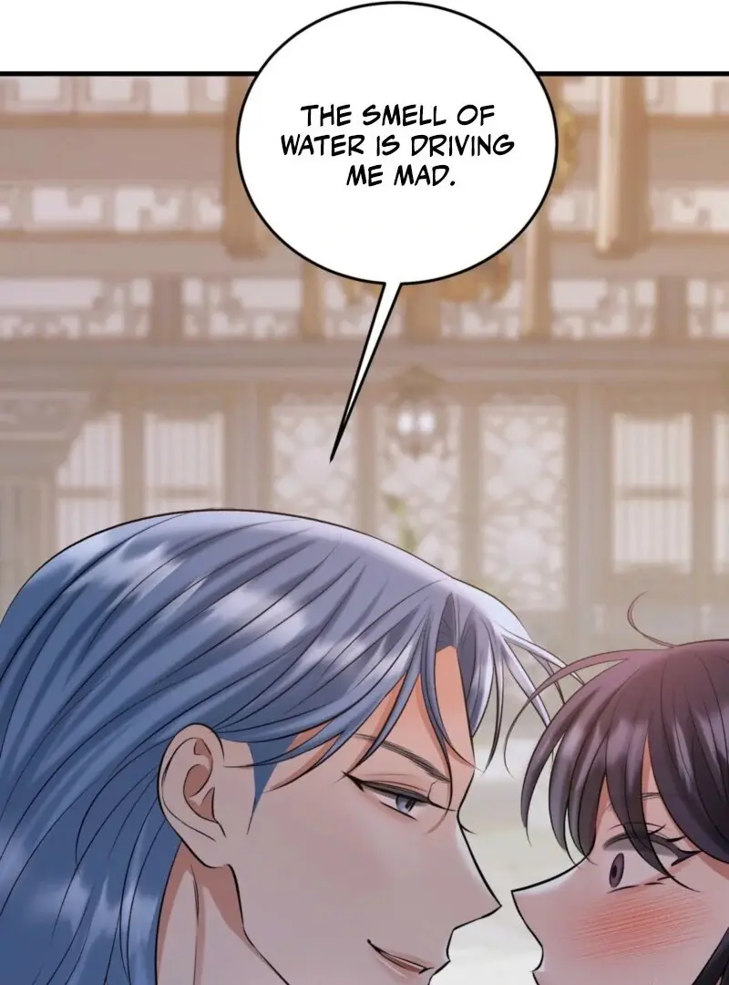 Read The Dragon King's Favor Manga Online