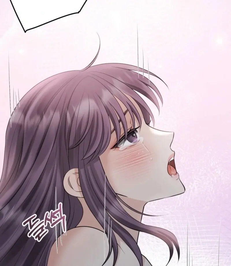 Read The Dragon King's Favor Manga Online