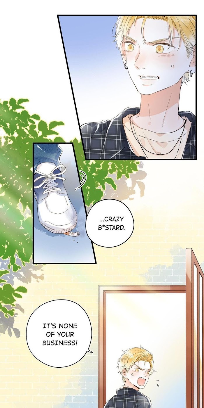 Read The Drifting Star Manga Online