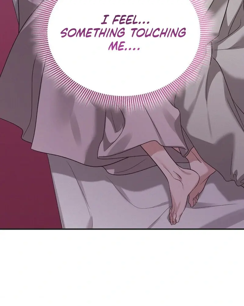 Read The Fairy's Wish Manga Online