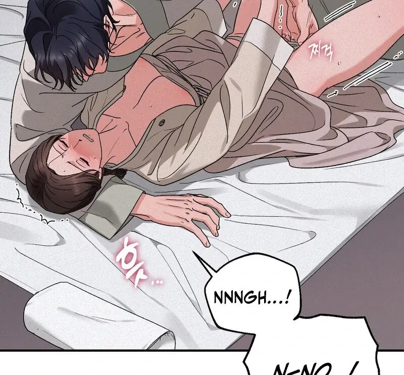 Read The Fairy's Wish Manga Online