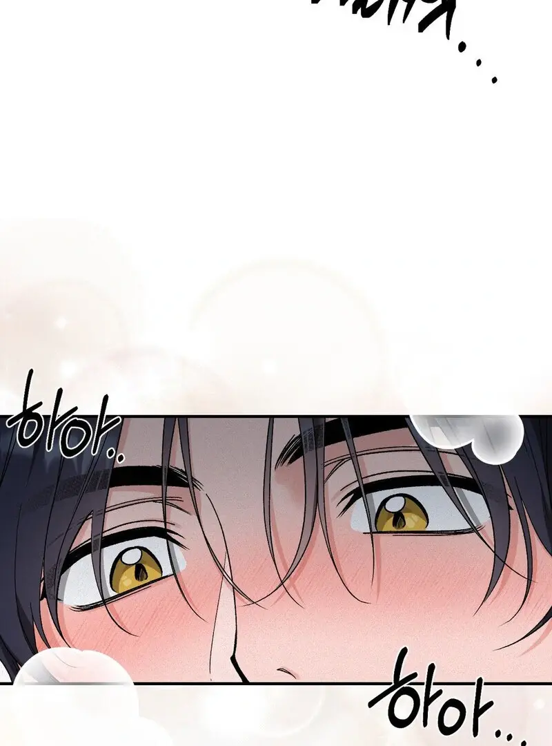 Read The Fairy's Wish Manga Online