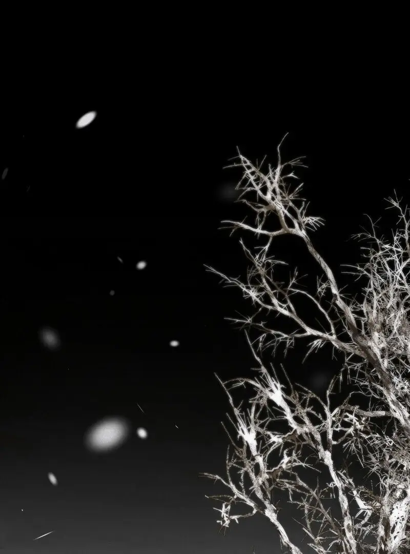 Read The Fairy's Wish Manga Online