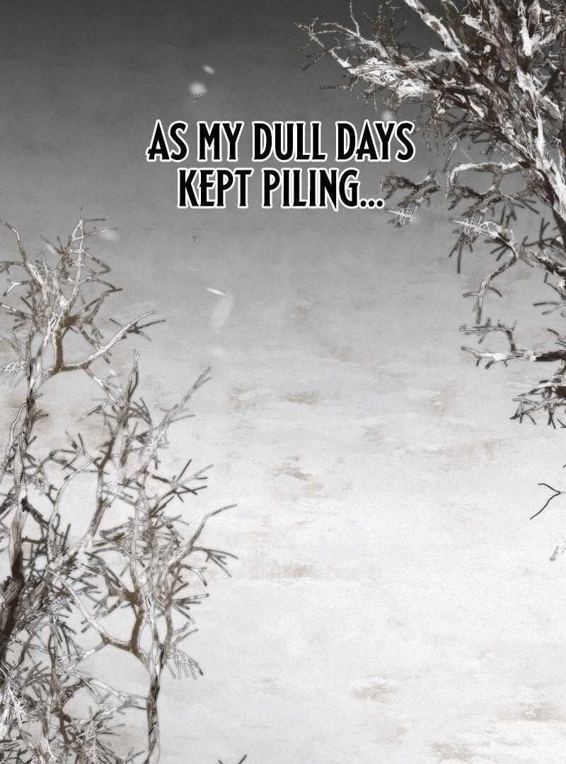 Read The Fairy's Wish Manga Online