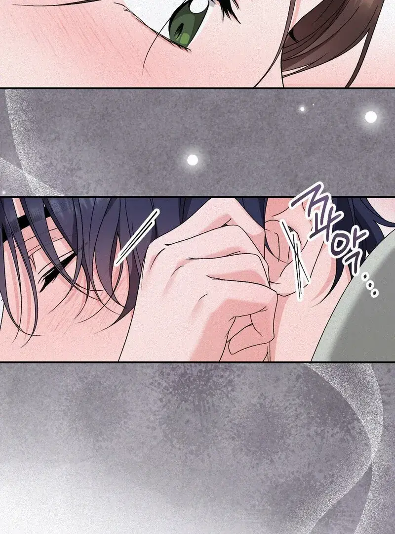 Read The Fairy's Wish Manga Online