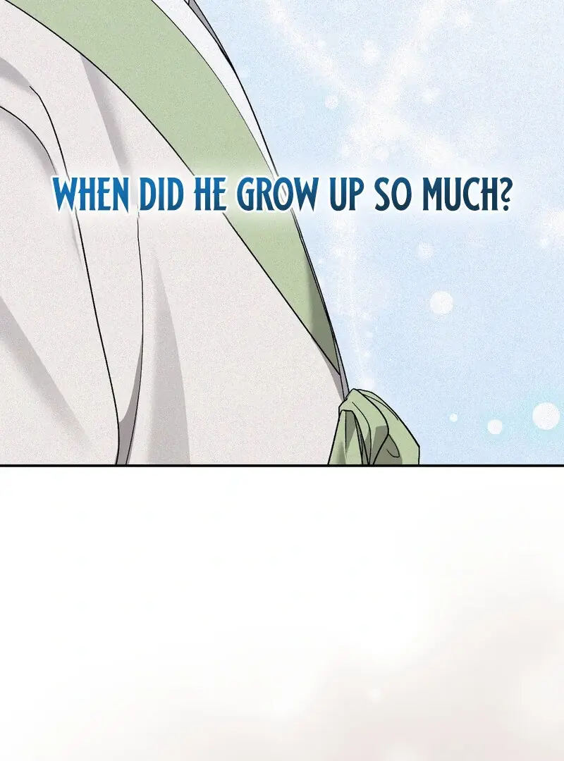 Read The Fairy's Wish Manga Online