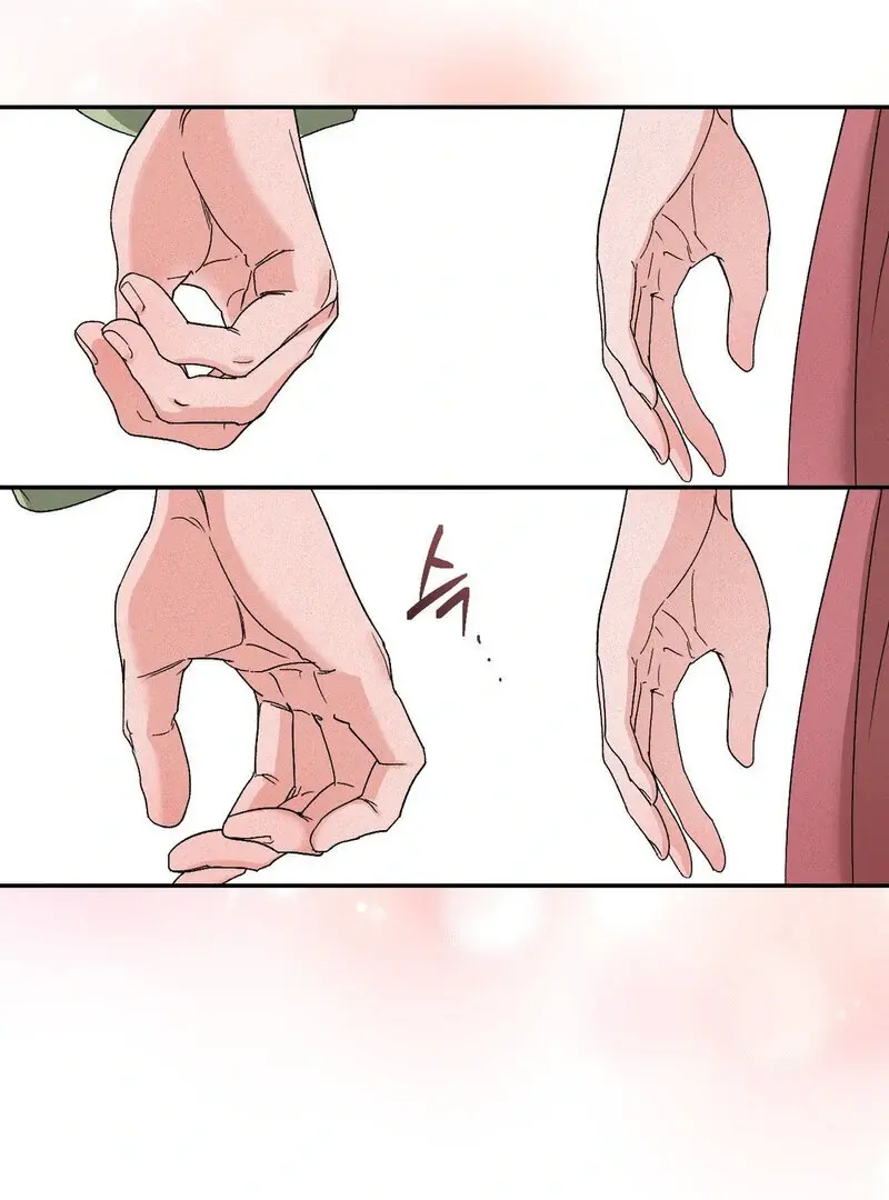 Read The Fairy's Wish Manga Online